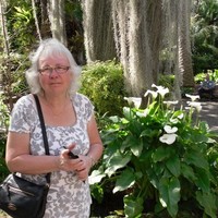 EIFL Employee Britt-Marie Wideberg's profile photo