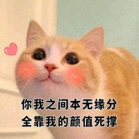 王飞 Email