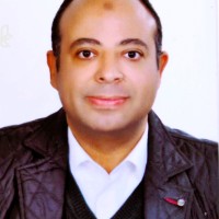 Amr Tawfiq Email