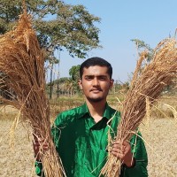 Angodigital Technologies Private Limited Employee Dushyanth Santosh's profile photo