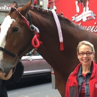 Belron® International Employee Karen Raccioppi's profile photo