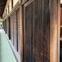 NORSE PROJECTS Employee Tobia Sloth's profile photo