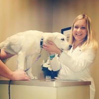 Village Animal Clinic Employee Amanda Healey's profile photo