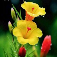 Dhananjay Deshpande's profile photo