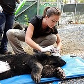 Daisy Mountain Veterinary Hospital Employee Meghan Feeney's profile photo