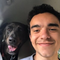 Alex Reyes's profile photo