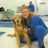 Virginia Veterinary Centers Employee Megan Jensen's profile photo