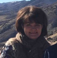 Associated Terminals Employee Yvonne Stein's profile photo