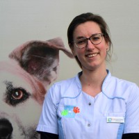 DierenDokters Employee Veronique Snoek's profile photo