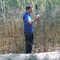 Department of Agriculture and Fisheries (Queensland) Employee David Comben's profile photo