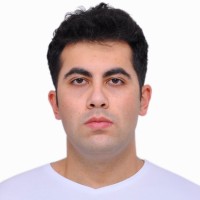 Michael Gafarov Email