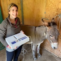 Università degli Studi di Torino Employee Alessandra Landi's profile photo