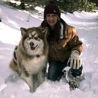 Keri Stephanoff Email & Phone Number