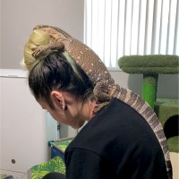 United Initiators Employee April Bryan's profile photo