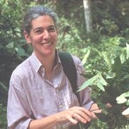 The Natural History Museum, London Employee Sandy Knapp's profile photo