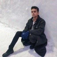 Noor Elgendy Email