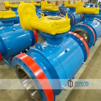 RAYS Flow Control Employee Fan Fan's profile photo