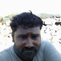Seapol Port Employee Vetrivelmurugan Palanisamy's profile photo