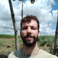 Carioba Artefatos de Pinus Ltda Employee Tobias Carioba's profile photo