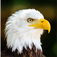 Consumers Energy Employee Michael Tozer's profile photo