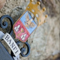 Banfi Wines Employee Rich Vogel's profile photo