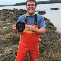 IDEXX Employee Patrick Irish's profile photo