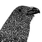 People search result for Alan Topp