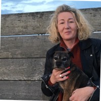 Dorset Council UK Employee Kelly Henry's profile photo