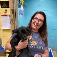 Mostly Mutts Animal Rescue & Adoption, Inc. Employee Sara Rylander's profile photo
