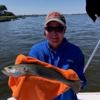 WACEL:  An Association of Engineering Laboratories, Inspection Agencies and Buil Employee Robert Scheller's profile photo
