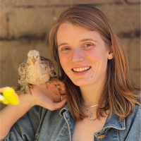 Evolution House Employee Anne Whatley's profile photo