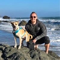 Matt Stewart Email & Phone Number