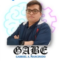 Gabe Mancinido Email