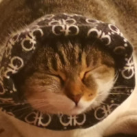 Metelli S.p.A. Employee Massimo Belotti's profile photo