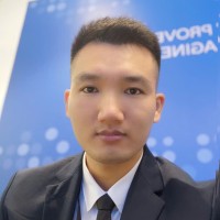Raffles Data & Analytics Employee Nho van's profile photo