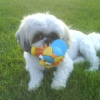 pilotED Schools Employee Julie Eisenmann's profile photo