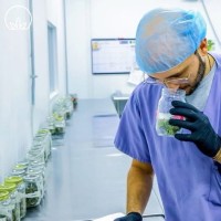 Standard Farms TILT Holdings Employee Ryan Matt's profile photo