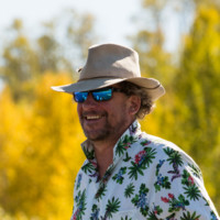 Ned Hutchinson