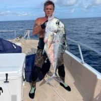 Carlton Clark Email & Phone Number