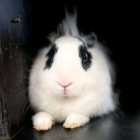 Na Employee Rob Petty's profile photo