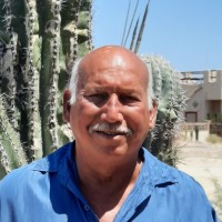 Fisher Nicholson Realtors LLC Employee Don Romano's profile photo