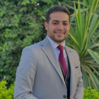 Amir Elsayed Email