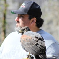 Miratech Employee Joseph Kelly's profile photo