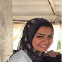 Noha Sameh Email