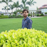 AZOVA DEVELOPMENT PVT LTD Employee Prashant Patel's profile photo