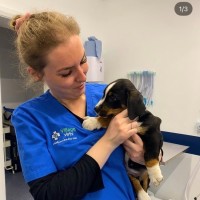 Aoife Guinness Email