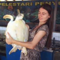 Yorso Employee Anastasia Gladkikh's profile photo