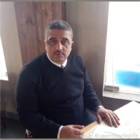 Shady Ali Email