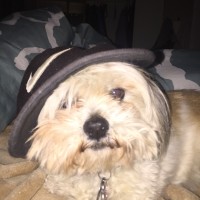 Daniel Kirkelie Email & Phone Number