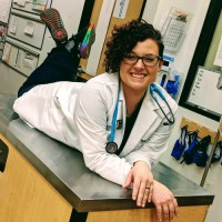 Sherwood South Animal Hospital Employee Megan Tisdale's profile photo